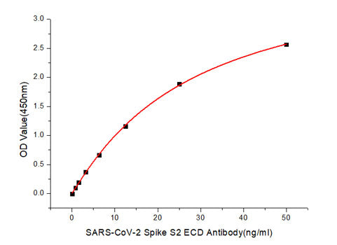 SARS-CoV-2 Spike S2 ECD Rabbit pAb