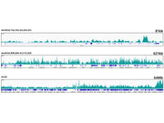 MonoMethyl-Histone H3-K18 Rabbit mAb