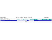 MonoMethyl-Histone H3-K9 Rabbit mAb