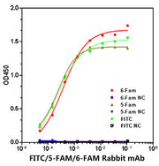 FITC/5-FAM/6-FAM Rabbit mAb