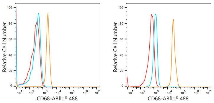 CD68 Rabbit mAb