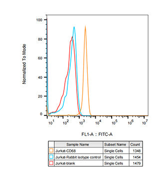 CD68 Rabbit mAb