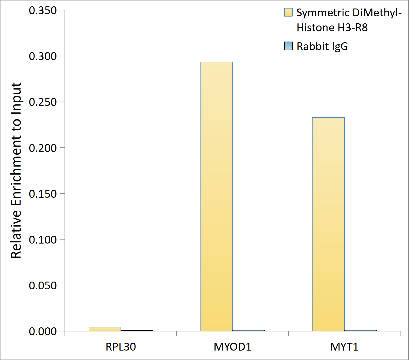 Symmetric DiMethyl-Histone H3-R8 Rabbit pAb