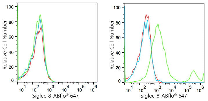 Siglec-8 Rabbit mAb