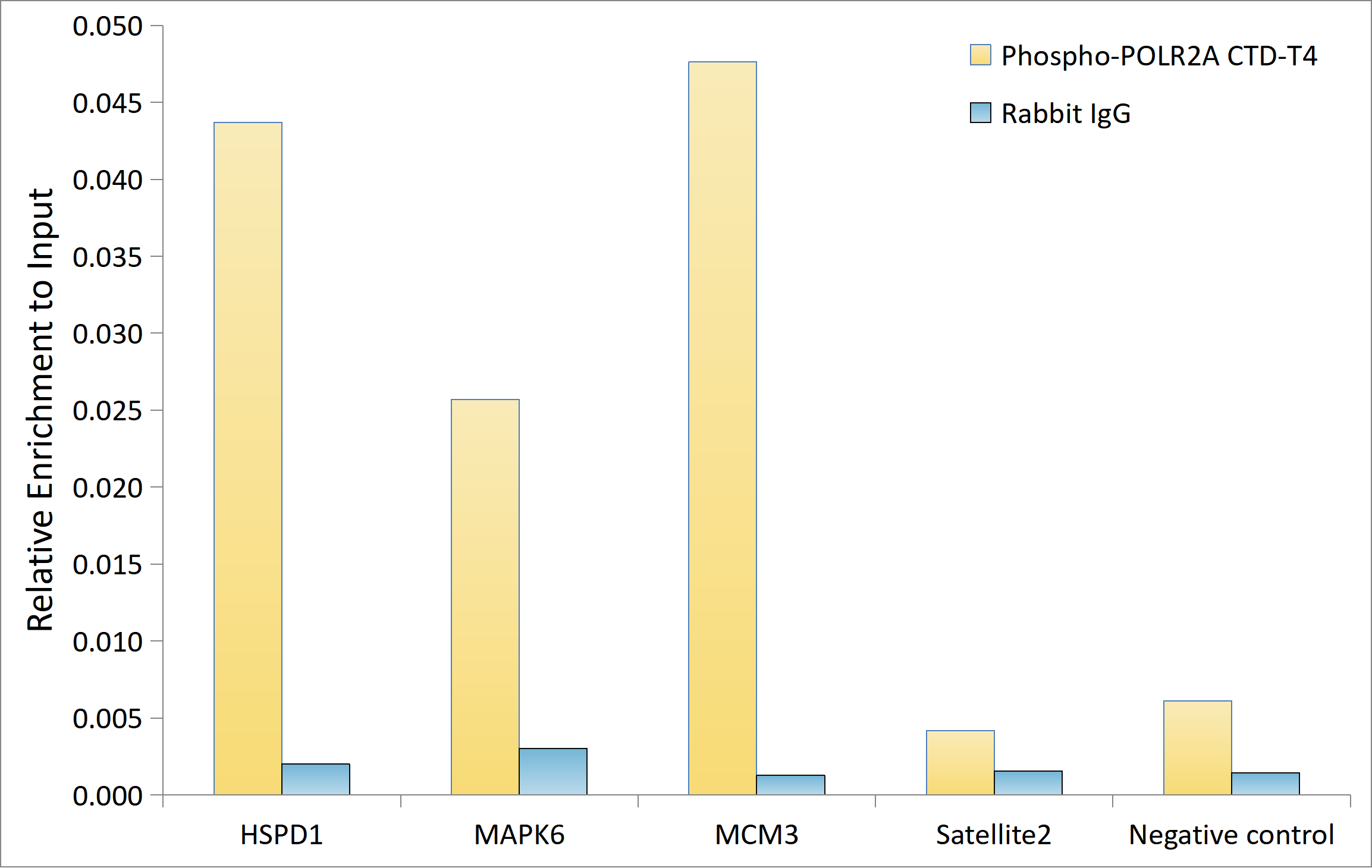 Phospho-POLR2A CTD-T4 Rabbit pAb