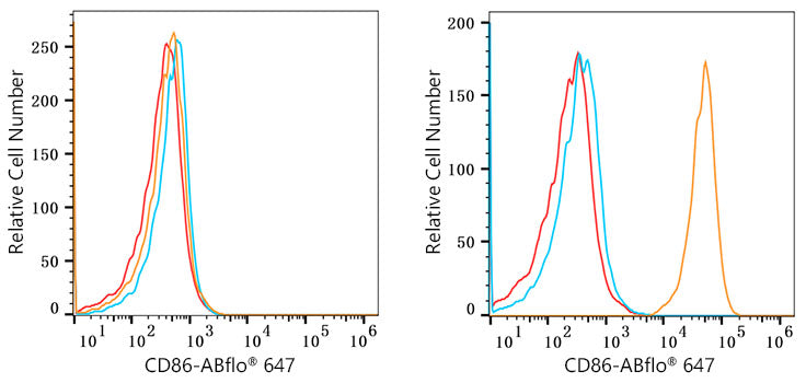 CD86 Rabbit mAb