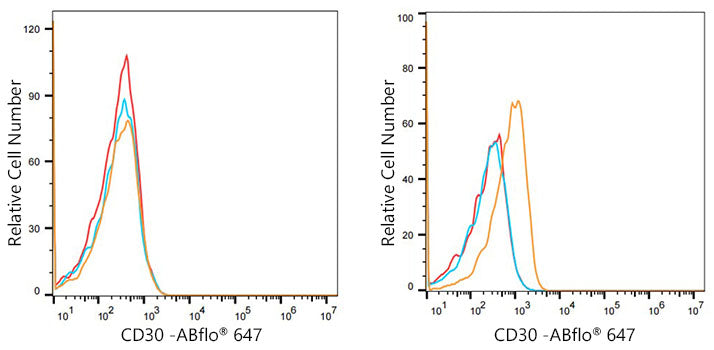 CD30 Rabbit mAb