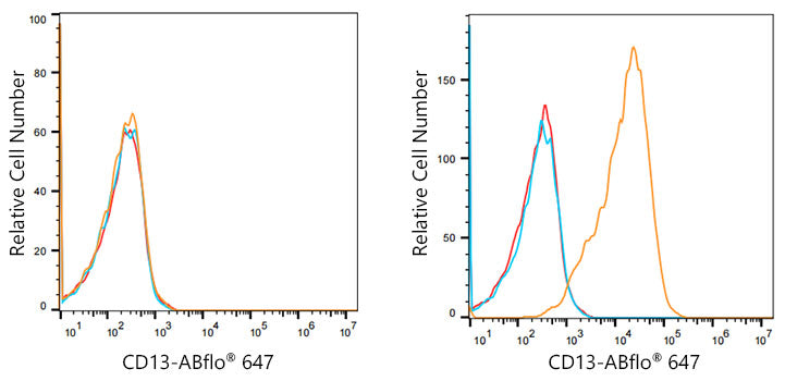 CD13/ANPEP Rabbit mAb