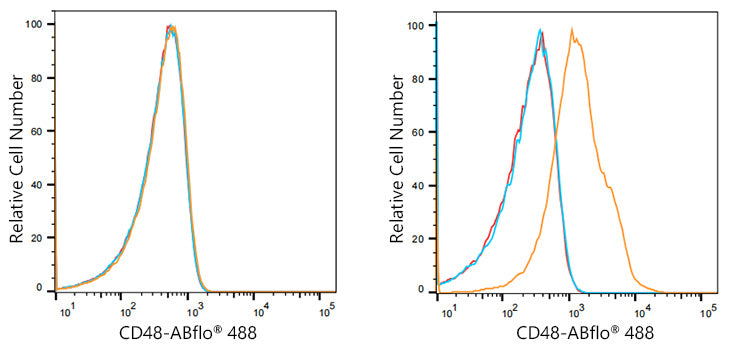 ABflo® 488 Rabbit anti-Human CD48 mAb