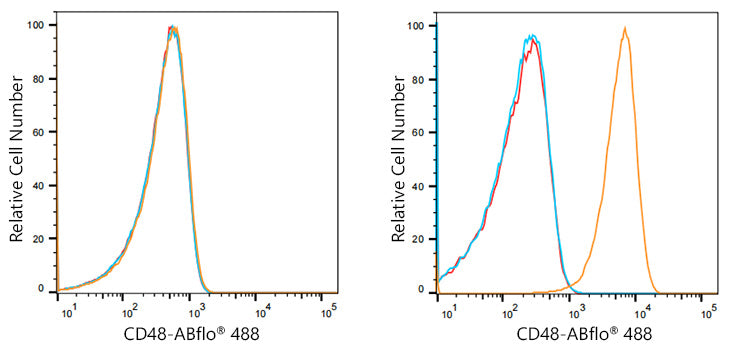 ABflo® 488 Rabbit anti-Human CD48 mAb