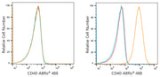 ABflo® 488 Rabbit anti-Human CD40 mAb