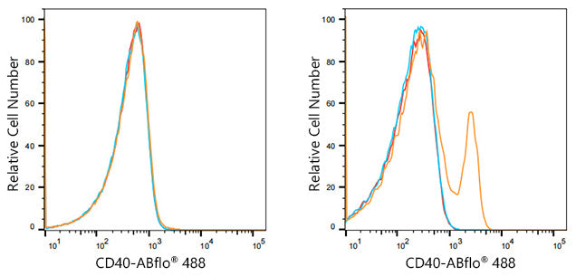 ABflo® 488 Rabbit anti-Human CD40 mAb