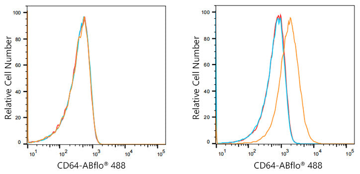 ABflo® 488 Rabbit anti-Human/Monkey CD64 mAb