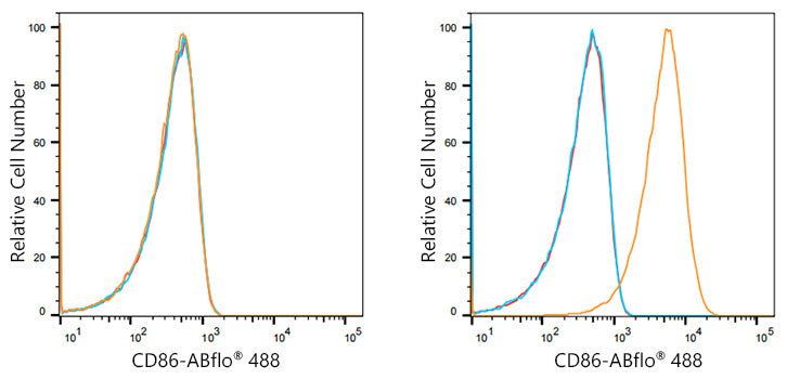 ABflo® 488 Rabbit anti-Human/Monkey CD86 mAb