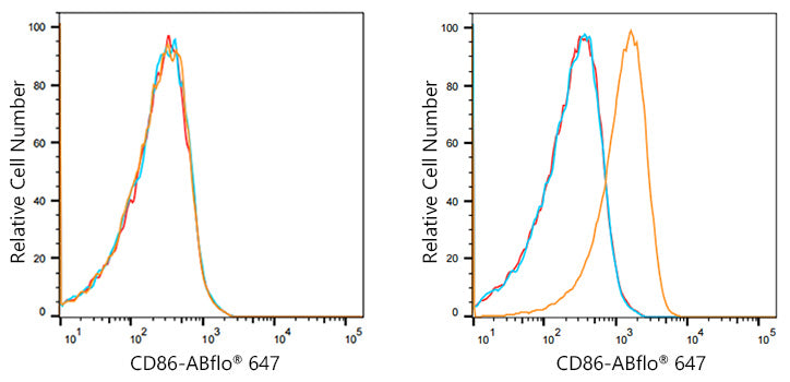 ABflo® 647 Rabbit anti-Human/Monkey CD86 mAb