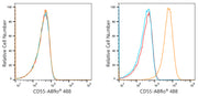 ABflo® 488 Rabbit anti-Human CD55 mAb
