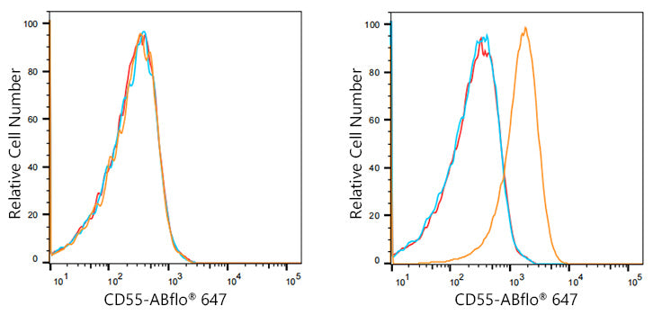 ABflo® 647 Rabbit anti-Human CD55 mAb