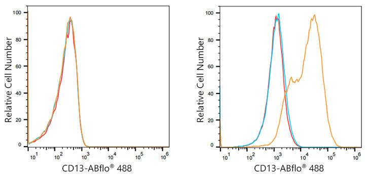 ABflo® 488 Rabbit anti-Human CD13/ANPEP mAb