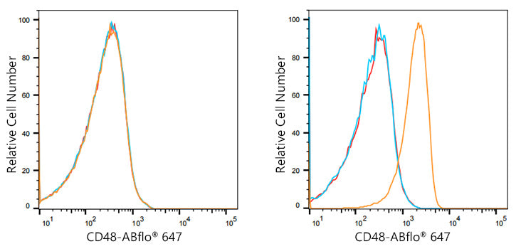 ABflo® 647 Rabbit anti-Human CD48 mAb