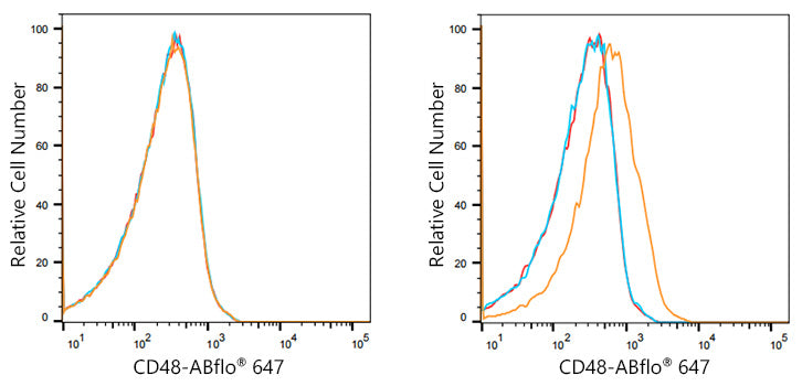 ABflo® 647 Rabbit anti-Human CD48 mAb
