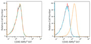 ABflo® 647 Rabbit anti-Human CD40 mAb