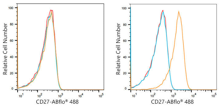 ABflo® 488 Rabbit anti-Human CD27 mAb