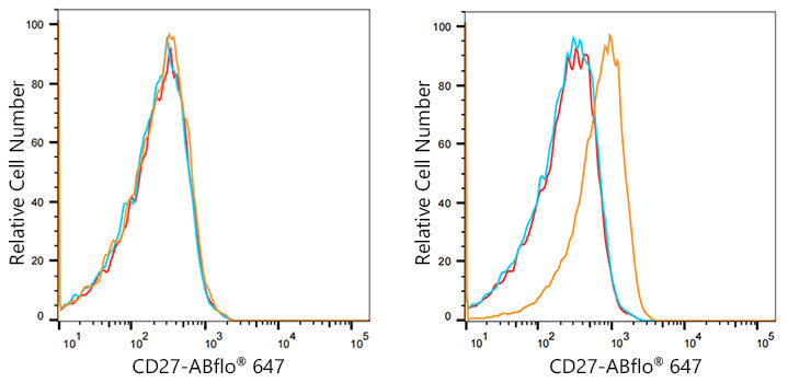 ABflo® 647 Rabbit anti-Human CD27 mAb
