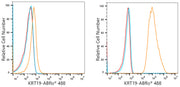 ABflo® 488 Rabbit anti-Human Cytokeratin 19 (KRT19) mAb