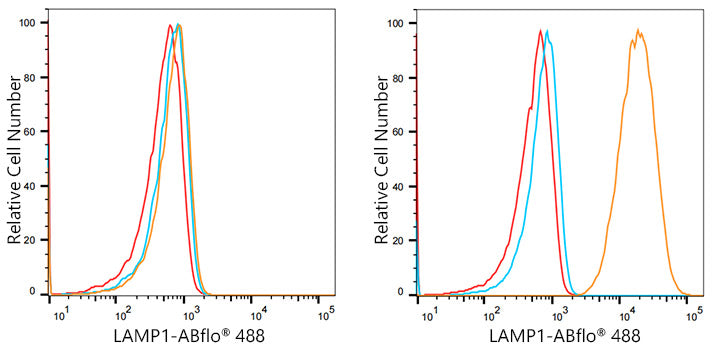 ABflo® 488 Rabbit anti-Human LAMP1/CD107a mAb