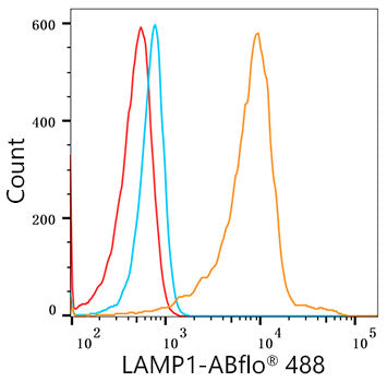 ABflo® 488 Rabbit anti-Human LAMP1/CD107a mAb