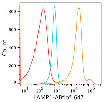 ABflo® 647 Rabbit anti-Human LAMP1/CD107a mAb