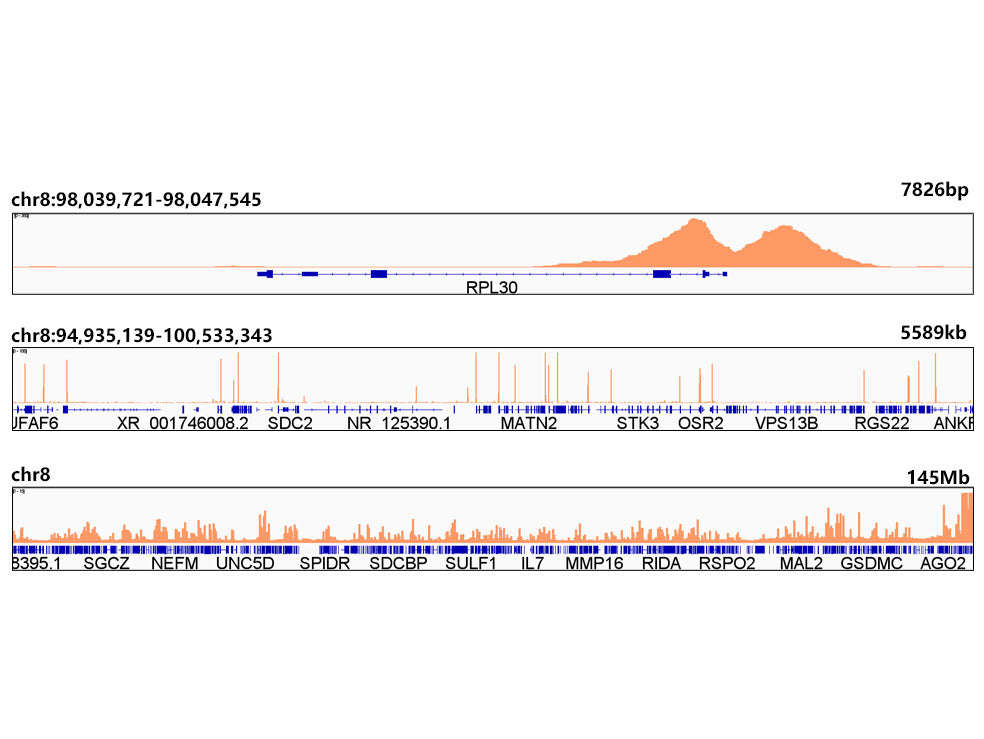 TriMethyl-Histone H3-K4 Rabbit mAb