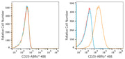 ABflo® 488 Rabbit anti-Human/Monkey CD20 mAb