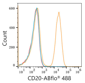 ABflo® 488 Rabbit anti-Human/Monkey CD20 mAb