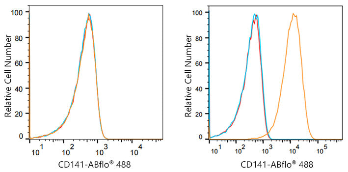 ABflo® 488 Rabbit anti-Human CD141/Thrombomodulin mAb