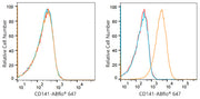 ABflo® 647 Rabbit anti-Human CD141/Thrombomodulin mAb