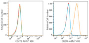 ABflo® 488 Rabbit anti-Human/Mouse CD276/B7-H3 mAb