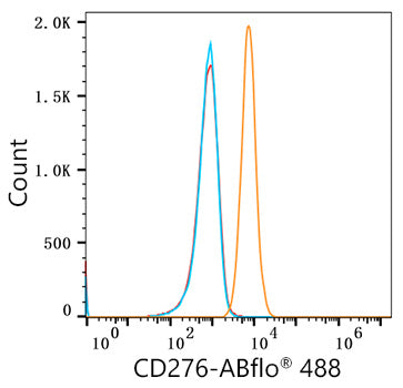 ABflo® 488 Rabbit anti-Human/Mouse CD276/B7-H3 mAb