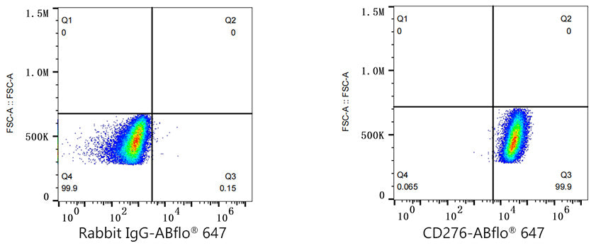 ABflo® 647 Rabbit anti-Human/Mouse CD276/B7-H3 mAb