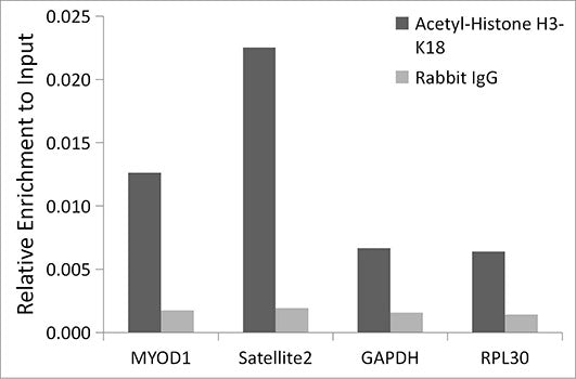MonoMethyl-Histone H3-K27 Rabbit mAb