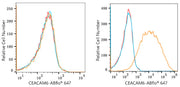 ABflo® 647 Rabbit anti-Human CEACAM6 mAb