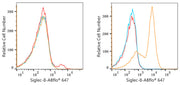 ABflo® 647 Rabbit anti-Human Siglec-8 mAb