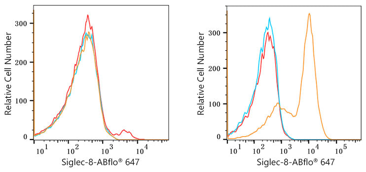 ABflo® 647 Rabbit anti-Human Siglec-8 mAb
