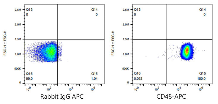 APC Rabbit anti-Human CD48 mAb, glycerol free