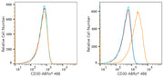 ABflo® 488 Rabbit anti-Human CD30 mAb