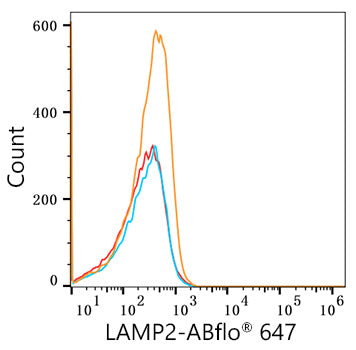 ABflo® 647 Rabbit anti-Human LAMP2 mAb