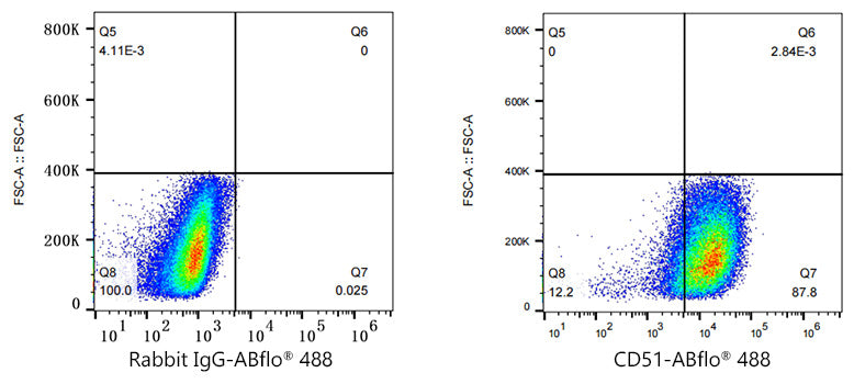 ABflo® 488 Rabbit anti-Human CD51 mAb