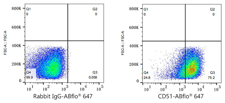 ABflo® 647 Rabbit anti-Human CD51 mAb