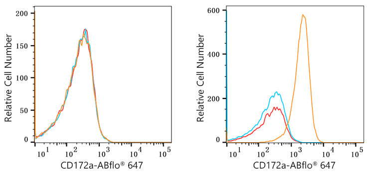 ABflo® 647 Rabbit anti-Human CD172a/SIRPα mAb