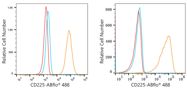 ABflo® 488 Rabbit anti-Human CD225/IFITM1 mAb